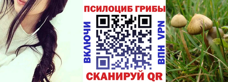 Купить  Кинель  Псилоцибиновые грибы прущие грибы 